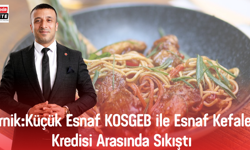 Arnik:Küçük Esnaf KOSGEB ile Esnaf Kefalet Kredisi Arasında Sıkıştı