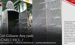 Gül Gülasem Ateş yazdı  İĞNELİ FIÇI...!