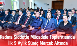 Kadına Şiddetle Mücadele Toplantısında İlk 9 Aylık Süreç Mercek Altında