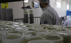 Halk Süt hem sağlıklı hem uygun fiyatlı