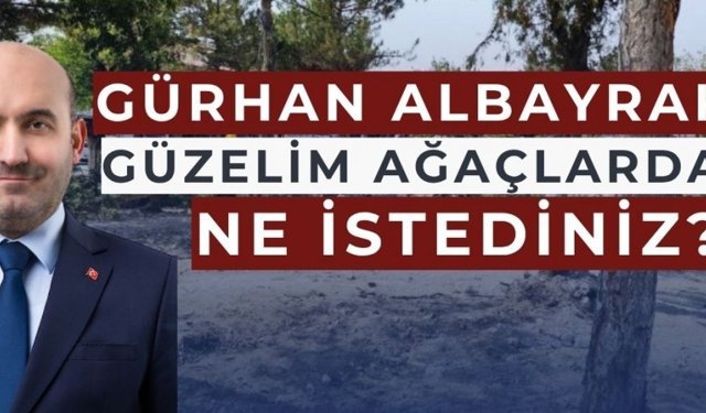 Albayrak takipçisi olacağını söyledi 
