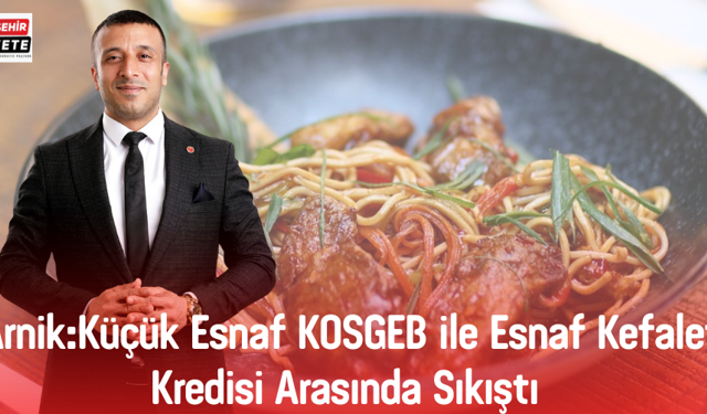 Arnik:Küçük Esnaf KOSGEB ile Esnaf Kefalet Kredisi Arasında Sıkıştı