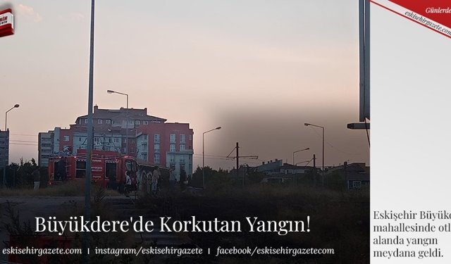 Büyükdere'de Korkutan Yangın!