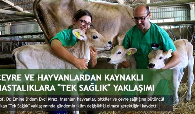 Çevre ve hayvanlardan kaynaklı hastalıklara "Tek Sağlık" yaklaşımı 