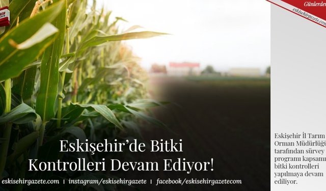 Eskişehir’de Bitki Kontrolleri Devam Ediyor!