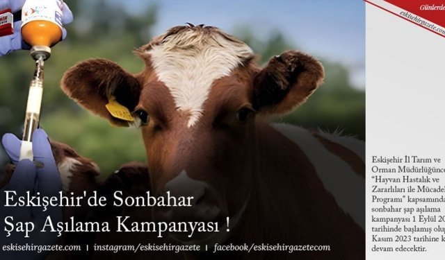 Eskişehir'de Sonbahar Şap Aşılama Kampanyası !