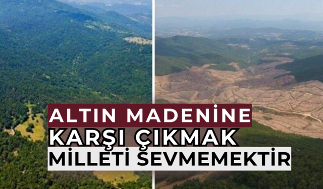 Gölge etmeyin devlet, millet kazansın 