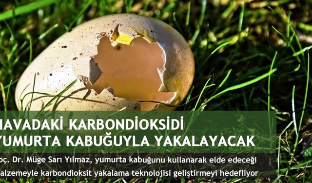 Havadaki karbondioksidi yumurta kabuğuyla yakalayacak