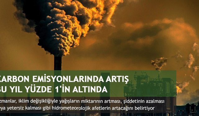Karbon emisyonlarında artış bu yıl yüzde 1'in altında