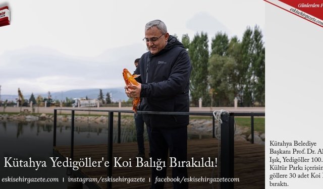 Kütahya Yedigöller'e Koi Balığı Bırakıldı! 