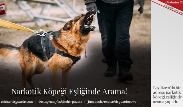 Narkotik Köpeği Eşliğinde Arama!