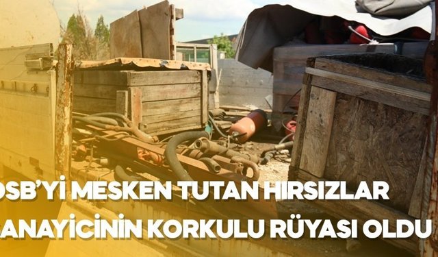 OSB’yi mesken tutan hırsızlar sanayicinin korkulu rüyası oldu