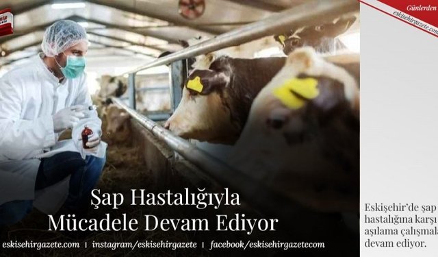 Şap Hastalığıyla Mücadele Devam Ediyor!