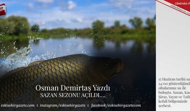 SAZAN SEZONU AÇILDI….