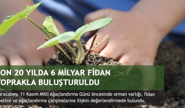 Son 20 yılda 6 milyar fidan toprakla buluşturuldu