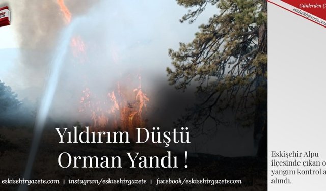 Yıldırım Düştü Orman Yandı !